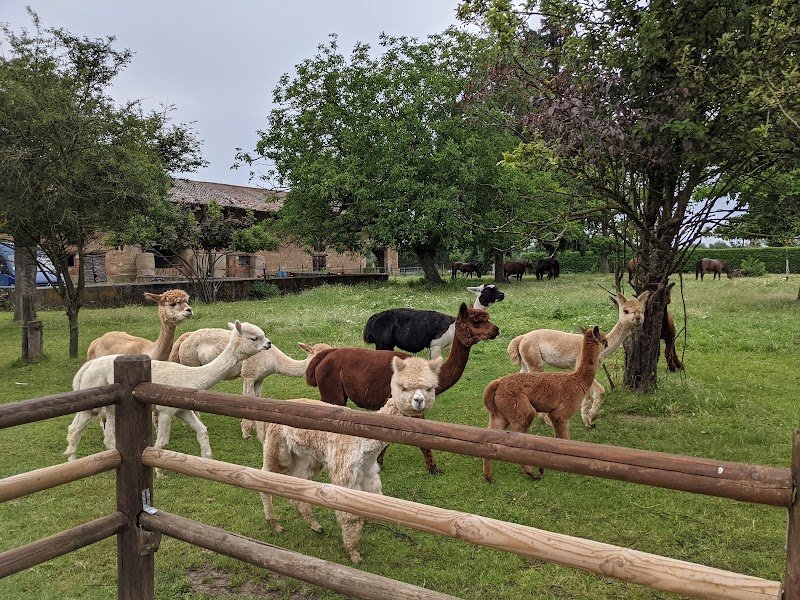Domaine du Chevalier - photo 2