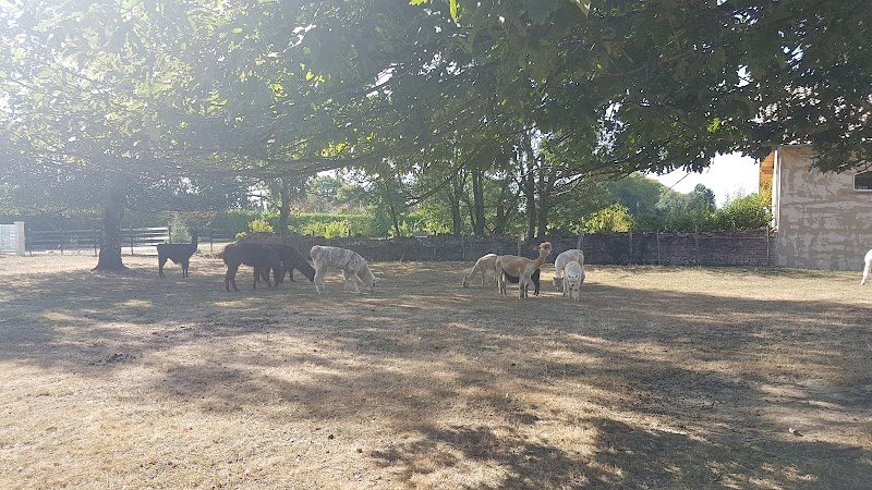 Domaine du Chevalier - photo 3