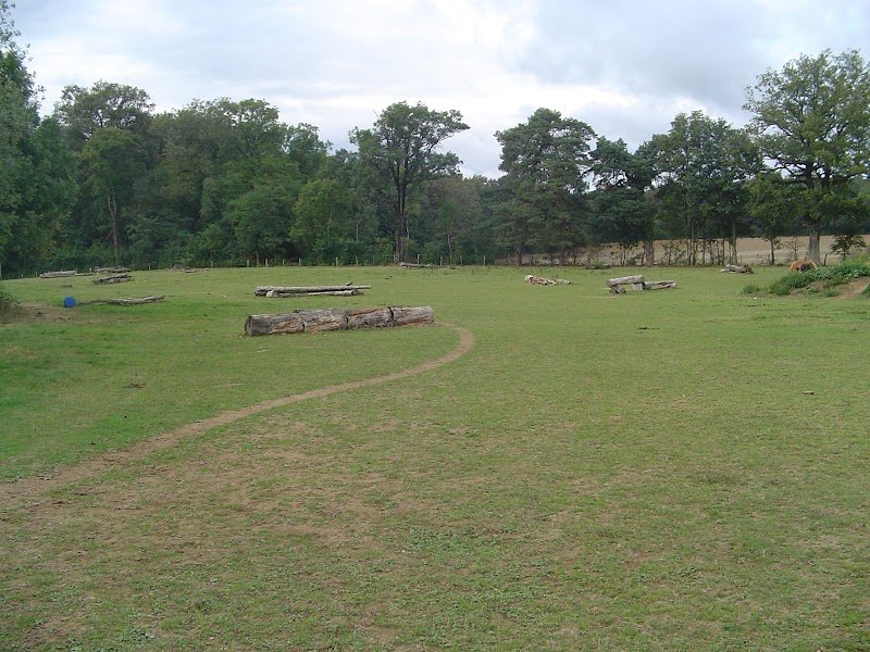 Poney Club de Richemont - photo 3