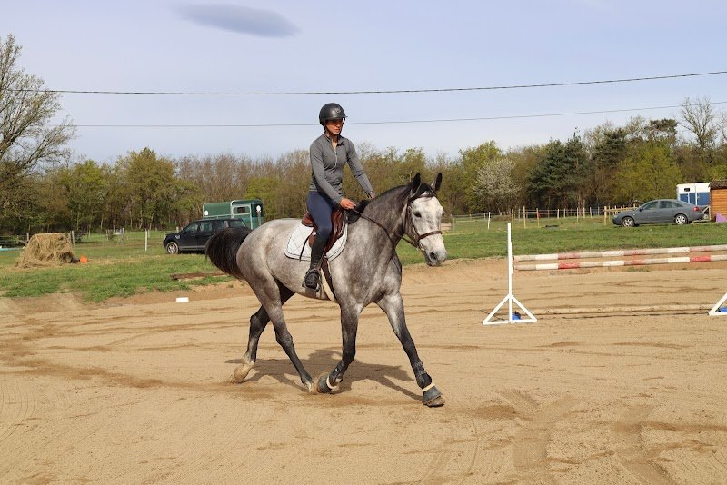 Écurie du Chemin - Clémentine Achaintre - photo 1