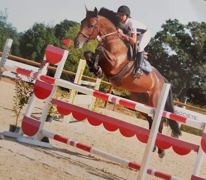 Écurie du Chemin - Clémentine Achaintre - photo 2