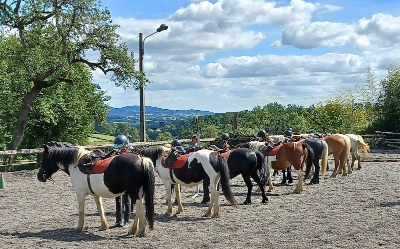 Ferme équestre de St-Laurent - Équitation- randonnées-formation - photo 2