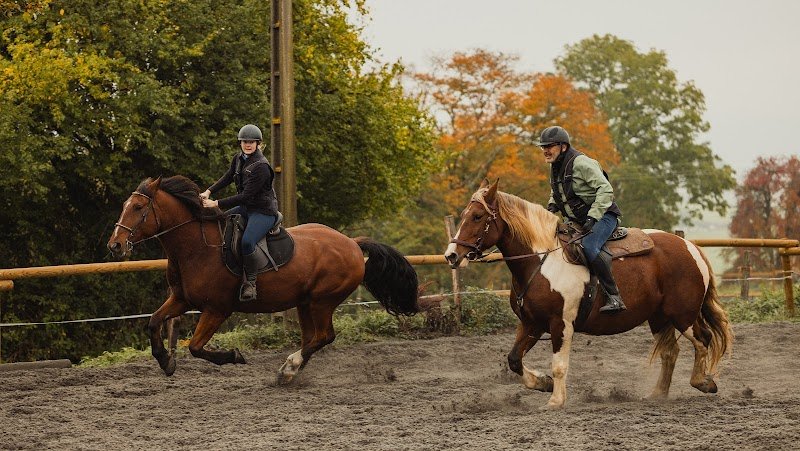 Ferme équestre de St-Laurent - Équitation- randonnées-formation - photo 3