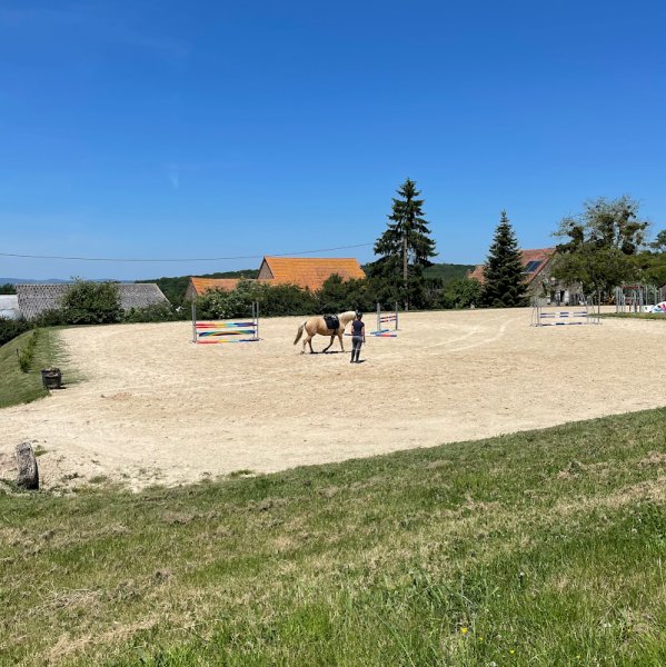 Écurie de la verchere - photo 2