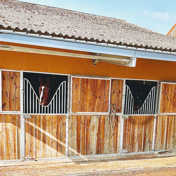 Écurie de la verchere - photo 3