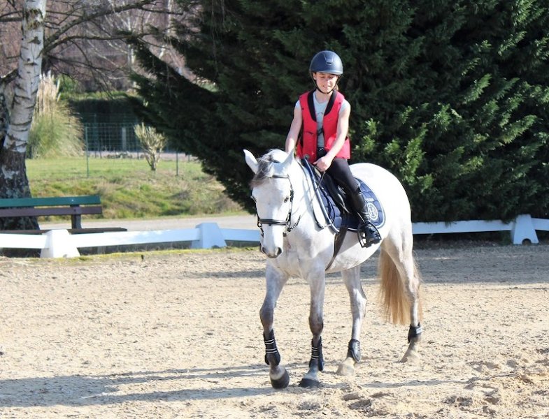 Élevage et Écurie de Marlière - photo 1