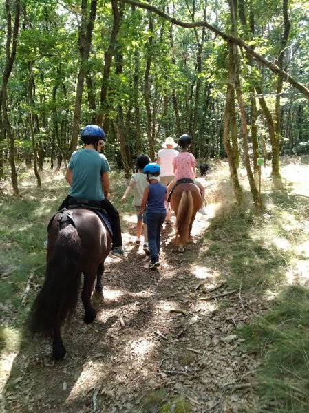 Ecurie Rodolphe Védrines - photo 3