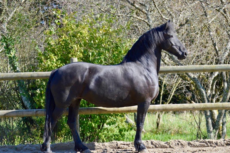 ECURIE ELINE - photo 3