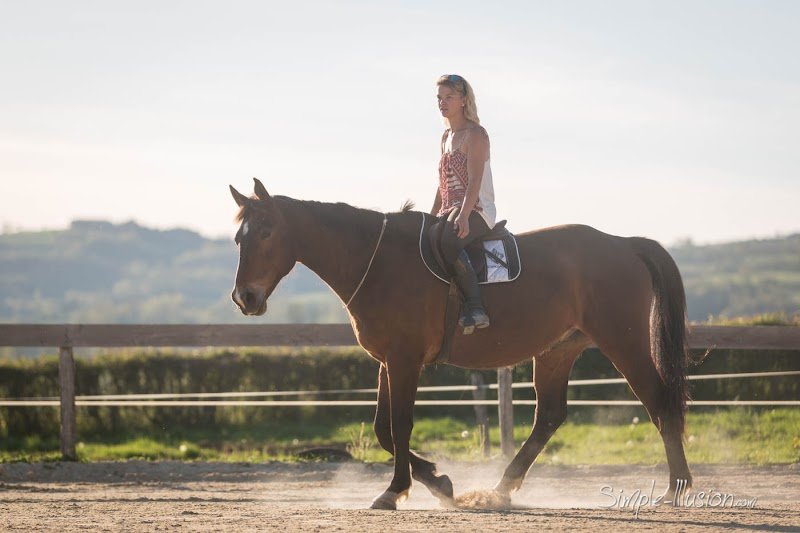 Ecurie des reveries - photo 1