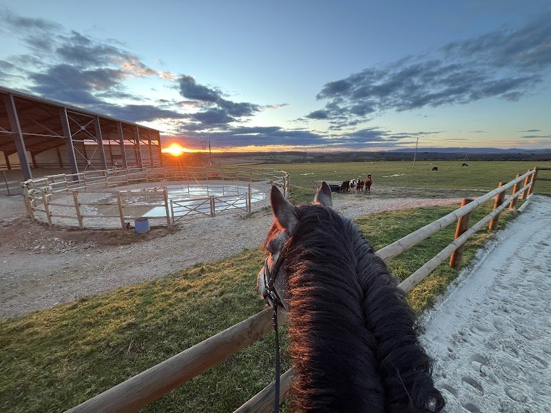 Écurie du tilla - photo 1