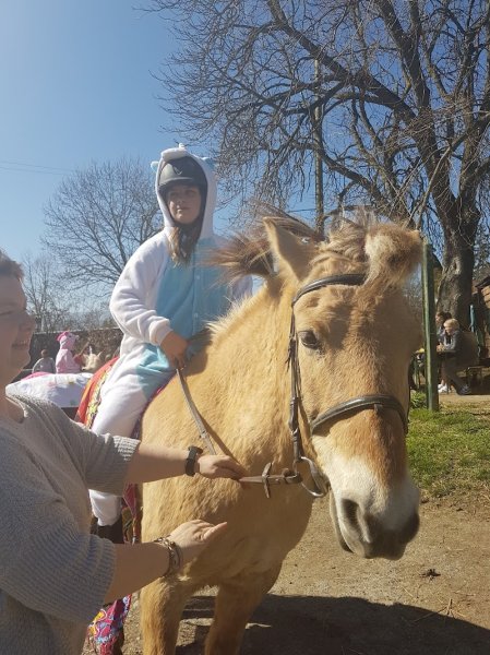 Les écuries du Pêcher - photo 3