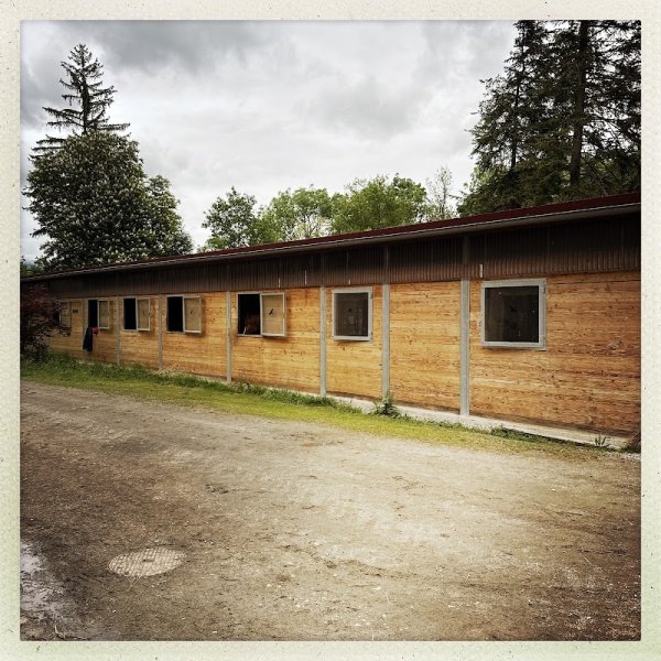 Ecurie du Cannelet - photo 1