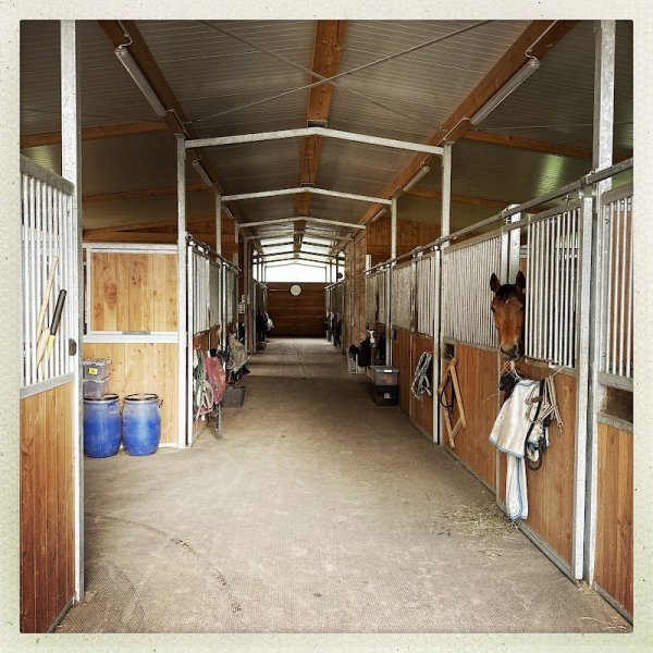 Ecurie du Cannelet - photo 2