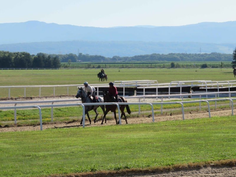 Centre d'Entrainement du Parc de Cheval - photo 1