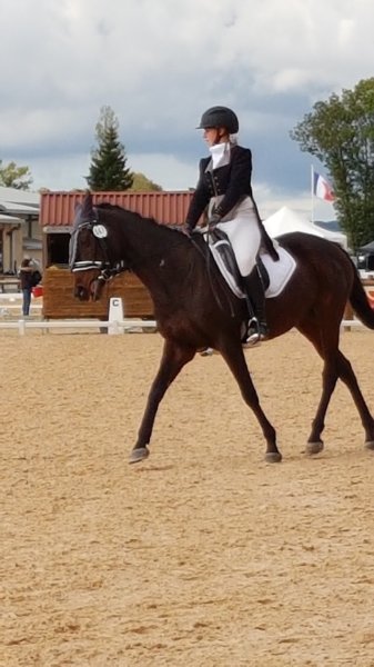 Parc du Cheval Rhône-Alpes - photo 1