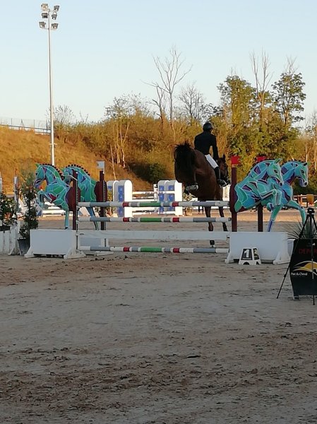 Parc du Cheval Rhône-Alpes - photo 2