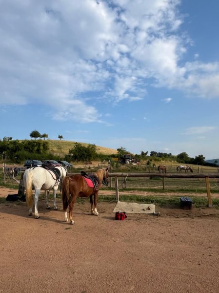 Ecurie Bellevue - photo 2