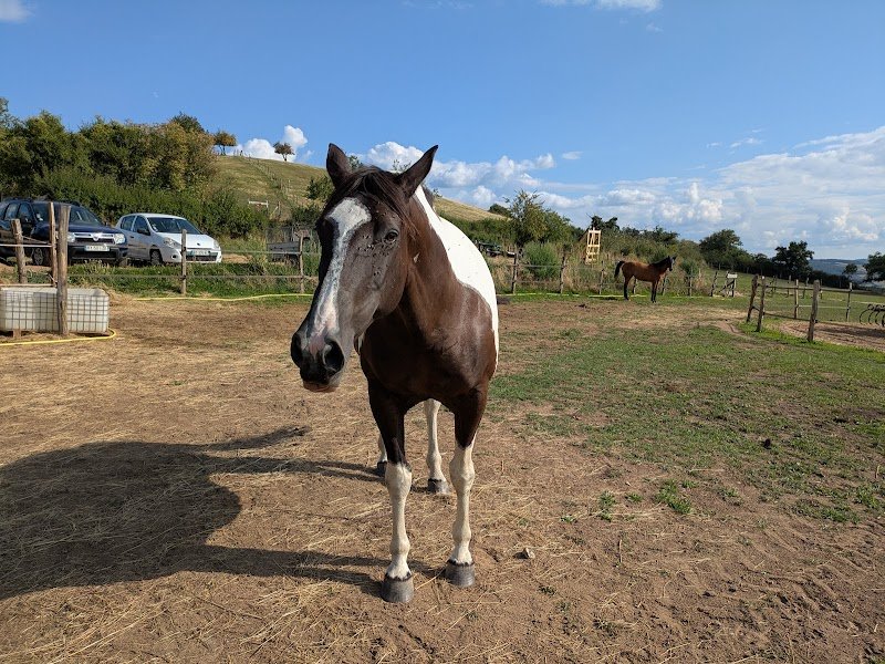 Ecurie Bellevue - photo 3