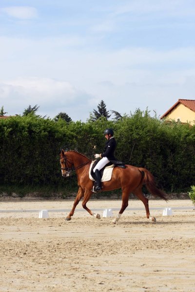 Ecurie de Morenol - photo 3