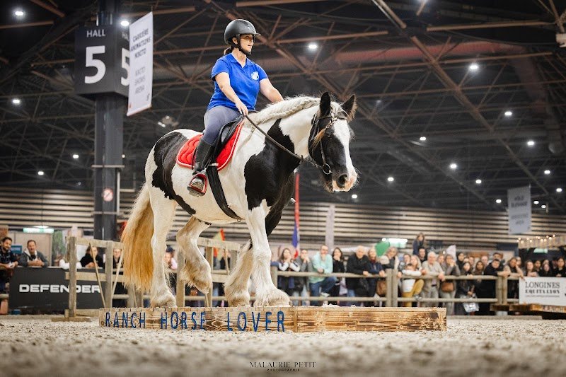 Ranch Horse Lover - photo 1