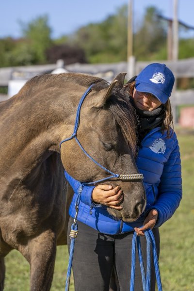 Ranch Horse Lover - photo 2