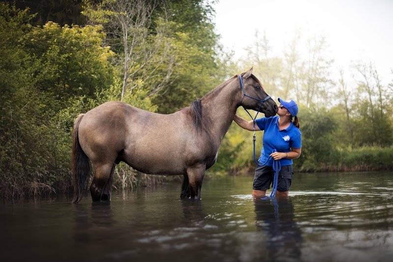 Ranch Horse Lover - photo 3