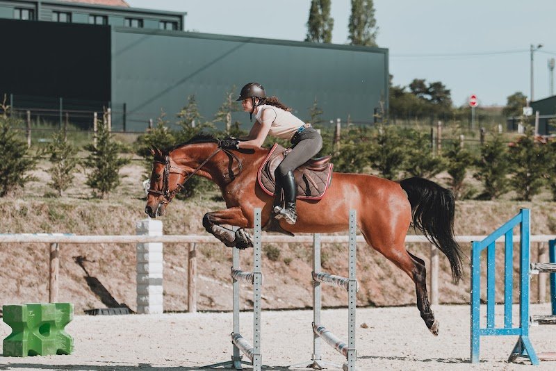 Sarl Ecurie Du Quincieux - photo 3