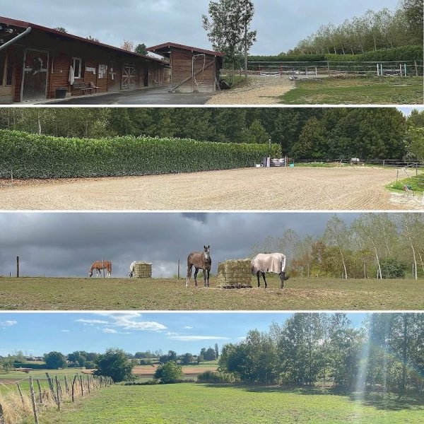 Écuries du Sablonnet - photo 2