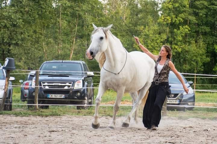 Les écuries de vertbois - photo 1