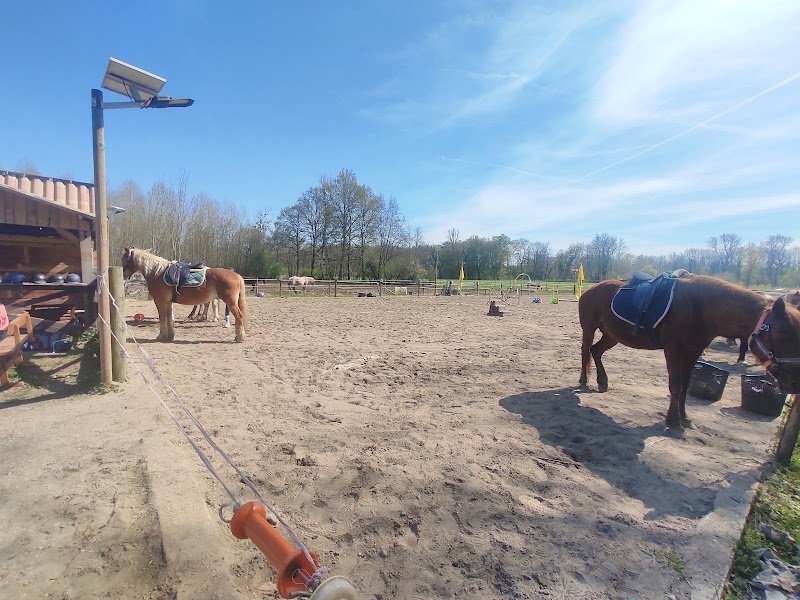 Les écuries de vertbois - photo 2