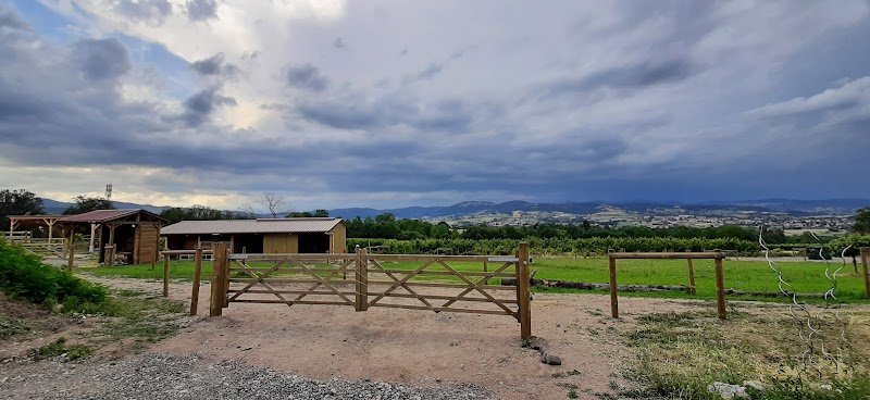 L' Ecurie active des Lyons - photo 3