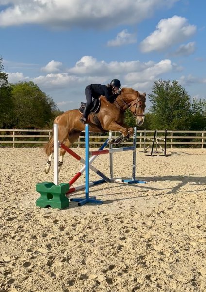 Pension Fégali - photo 1