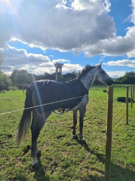 Pension Fégali - photo 3