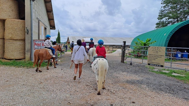 Ecurie du Louvarel - photo 2