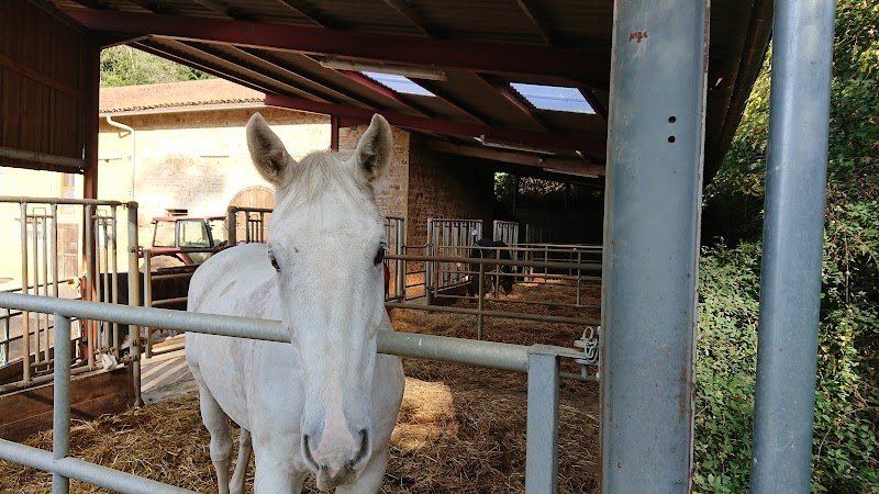 Centre équestre de Vaucenans - photo 3