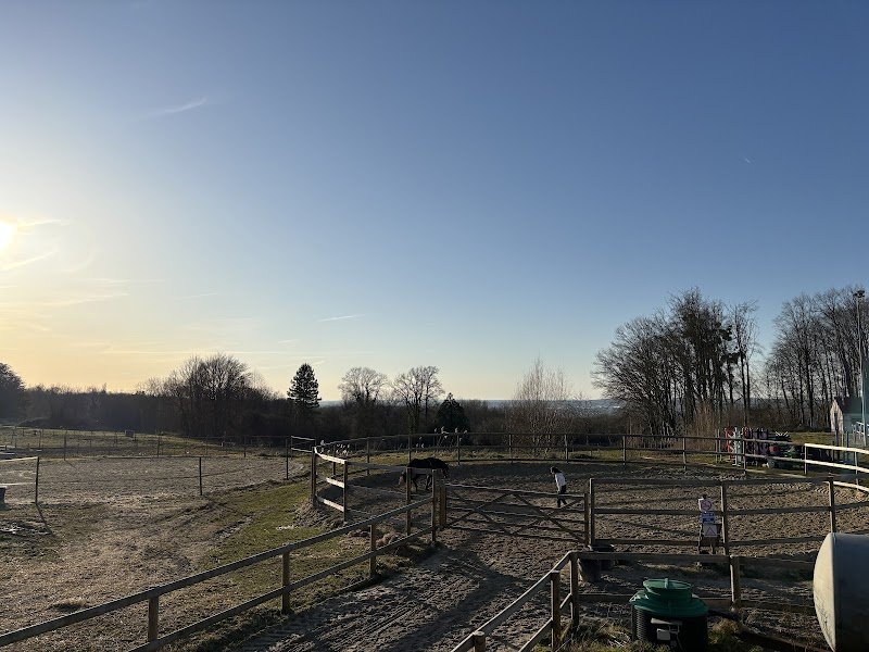 Écurie Montiselle'Horse - photo 2