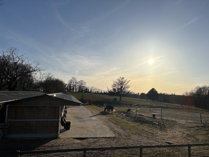 Écurie Montiselle'Horse - photo 3