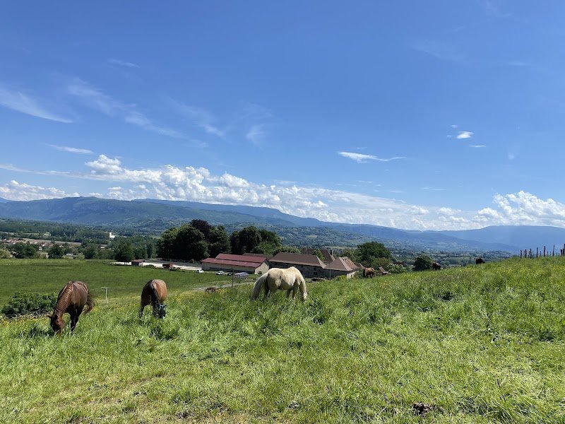 Le Haras du Tizieu - photo 2