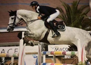 Écurie HCC - Horses Competition Concept