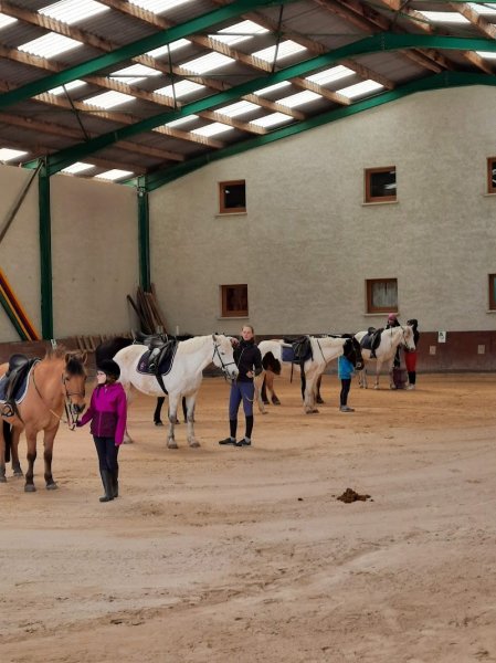 Centre équestre d'artemare - photo 2