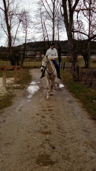 Centre équestre d'artemare - photo 3