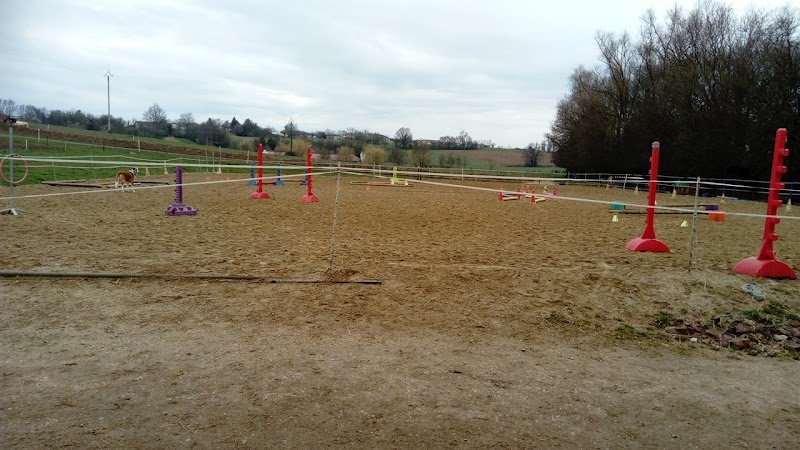 PONY' Veyle - photo 1