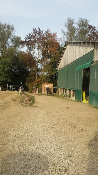 PONY' Veyle - photo 3