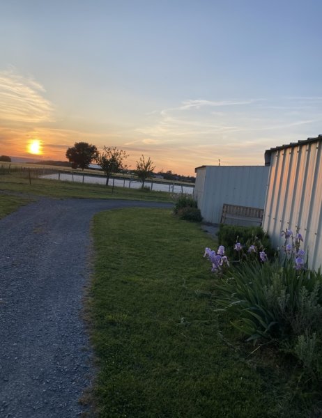 Écuries d’Ovalie - photo 3