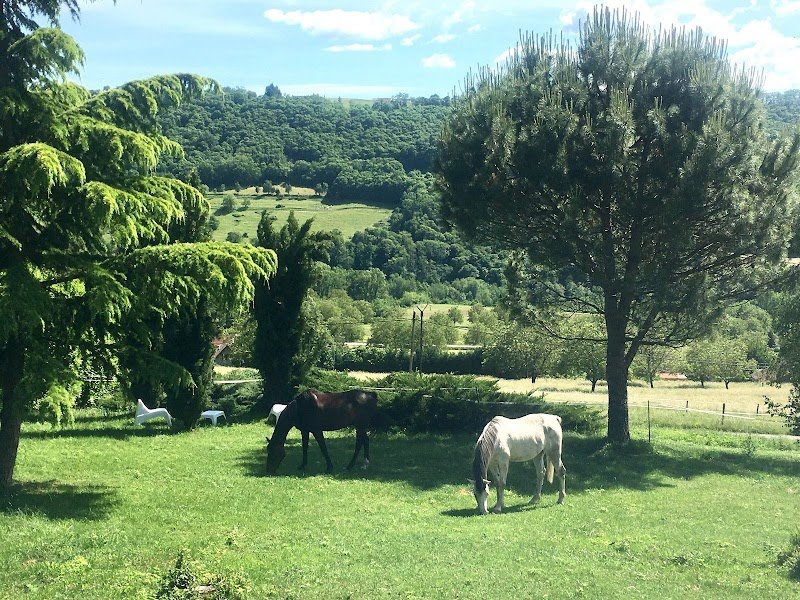 Ecurie de Grésin - photo 2
