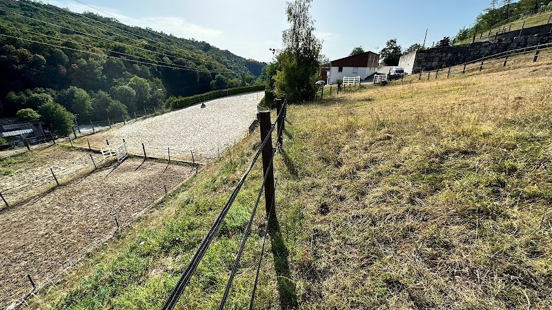 M&L Dress Stable - photo 3