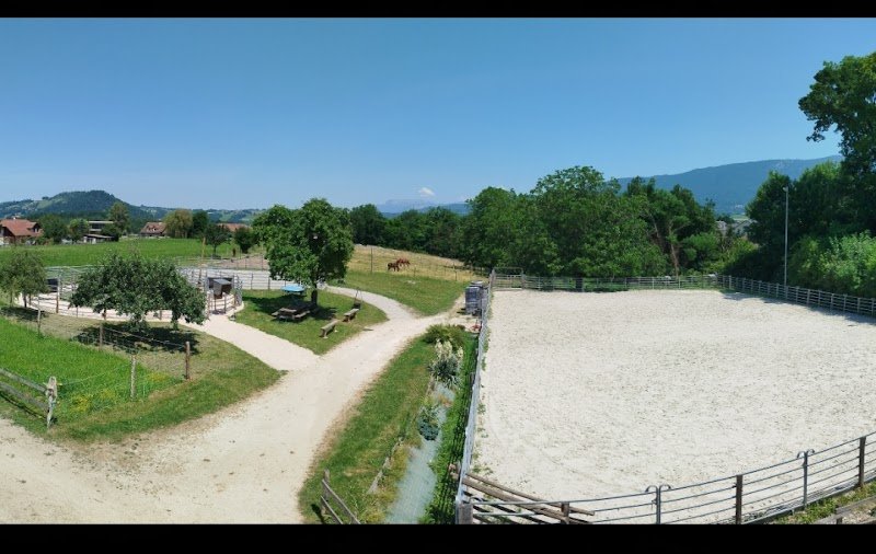 VM Quarter Horse - Michel Vittet - photo 1