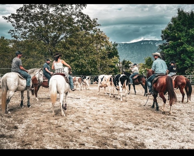 VM Quarter Horse - Michel Vittet - photo 3