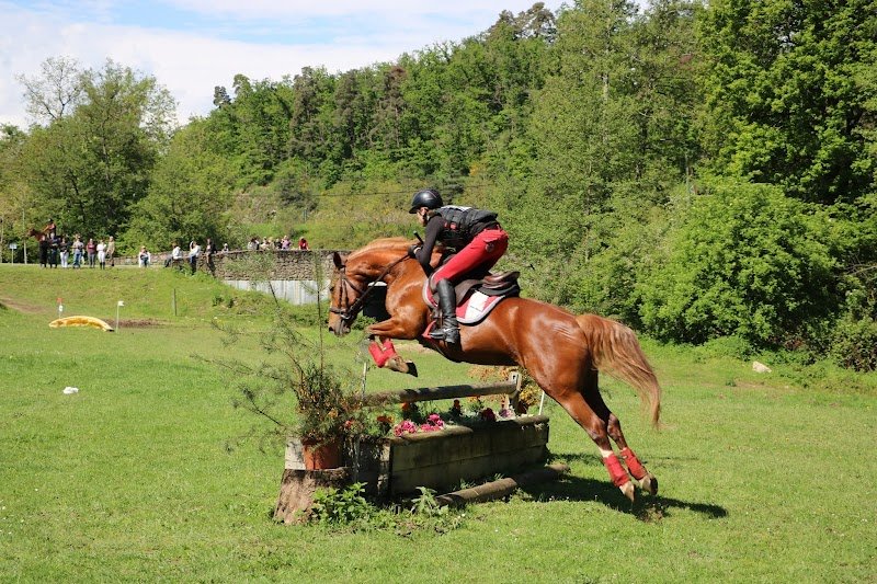 Ecuries des Collines - photo 2
