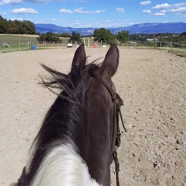 Ecuries de la Ruat - photo 2